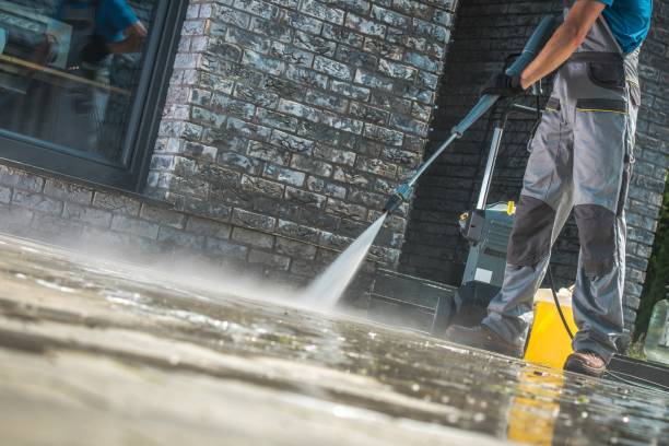 Best Pre-Holiday Cleaning  in Elkhorn City, KY